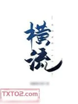 《横流》小说封面