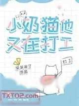 《小奶猫他又在打工》小说封面