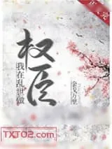 《我在乱世做权臣》小说封面