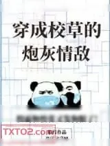 《穿成校草的炮灰情敌》小说封面