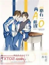《两A相逢必有一O》小说封面