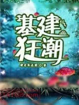 《基建狂潮》小说封面