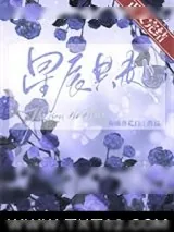 《星辰共赴[古穿未]》小说封面