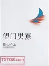 《望门男寡》小说封面