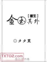《金玉其外[重生]》小说封面