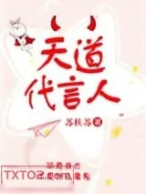 《天道代言人》小说封面