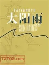 《太阳雨》小说封面