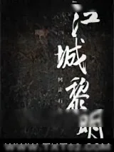 《江城黎明》小说封面