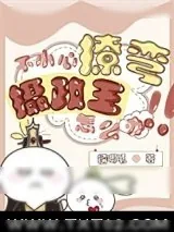 《不小心撩弯了摄政王怎么办》小说封面