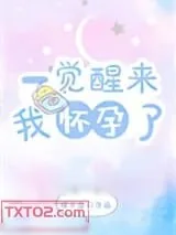 《一觉醒来我怀孕了》小说封面