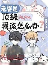 《老婆是顶级Alpha，我该怎么办》小说封面