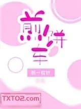 《煎饼车》小说封面