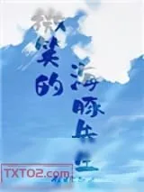 《有只海豚想撩我》小说封面