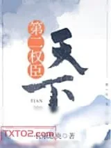 《天下第二权臣》小说封面