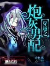 《穿越之炮灰男配》小说封面