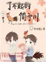 《了不起的简宁川》小说封面