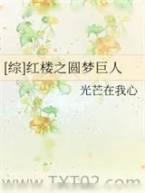 《[综]红楼之圆梦巨人》小说封面