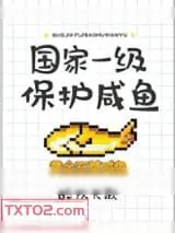 《国家一级保护咸鱼》小说封面