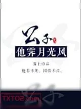 《公子他霁月光风》小说封面