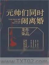 《元帅们同时闹离婚》小说封面