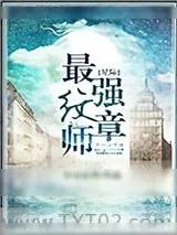 《星际最强纹章师》小说封面
