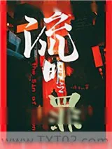 《流明之罪》小说封面