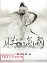 《朕不想复国》小说封面