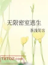 《无限密室逃生》小说封面