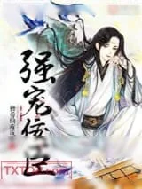 《强宠佞臣》小说封面