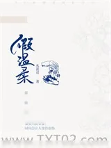 《假温柔》小说封面