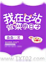 《我在B站做菜的那些日子》小说封面