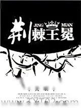 《纽约时报》小说封面