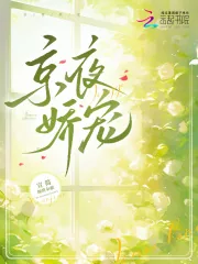 《京夜娇宠》小说封面
