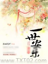 《红楼之一世安乐》小说封面
