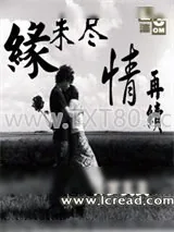 《缘未尽情再续》小说封面