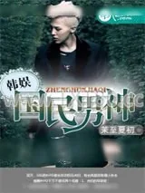 《韩娱之国民男神》小说封面