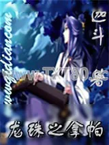 《龙珠之拿帕》小说封面