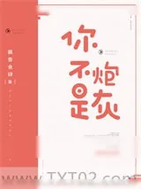 《你不是炮灰》小说封面