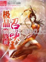 《极品召唤王》小说封面