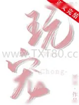 《玩宠》小说封面