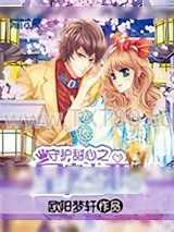 《守护甜心之皇家之恋》小说封面