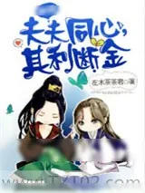 《夫夫同心，其利断金》小说封面