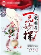 《鸳鸯斗，一品妙探》小说封面