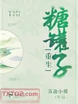 《糖罐子[重生]》小说封面