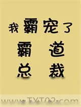 《我霸宠了霸道总裁》小说封面