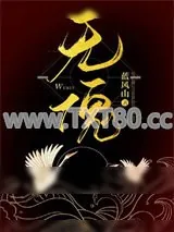《无傀》小说封面