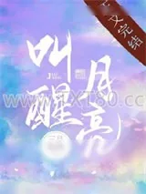 《叫醒月亮》小说封面