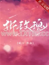 《折玫瑰》小说封面