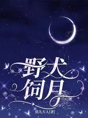 《野犬饲月》小说封面