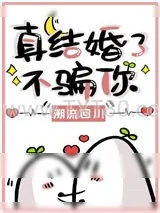 《真结婚了不骗你》小说封面